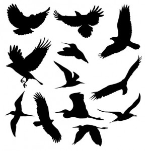 Oiseaux Volants en vectoriel