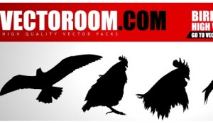 vectoriel oiseaux dont coq vectoriel oiseaux dont coq